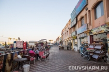 egypt_sharm_nabq-74 egypt_sharm_nabq-74