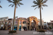 egypt_sharm_nabq-75