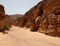 Sinai©19ThomasBaechtold0O5A6656