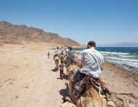 egypt_sharm-8