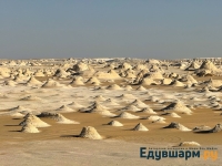 egypt_2025-20