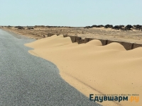 egypt_2025-8