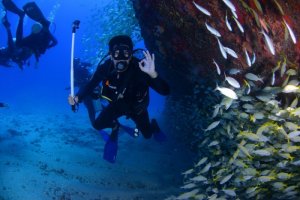 dive-1849534_1280