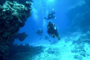 diving-813028_1280