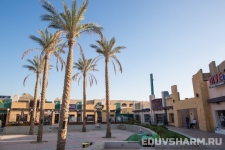 egypt_sharm_nabq-65