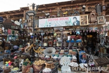 egypt_sharm_nabq-69