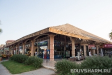 egypt_sharm_nabq-73