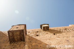 egypt_sharm9-82