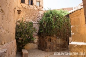egypt_sharm9-83