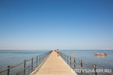 egypt_sharm_nabq-47
