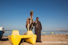 egypt_sharm_nabq-51