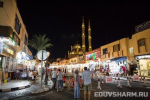 egypt5-65