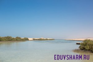egypt-93
