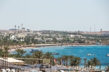 egypt-8