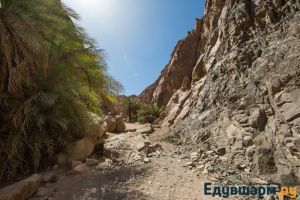 egypt_sharm-25