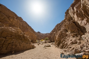 egypt_sharm-27