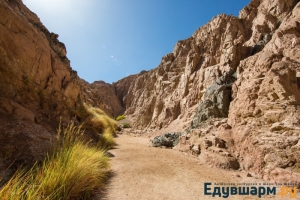 egypt_sharm-35