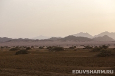 egypt_sharm_nabq-24