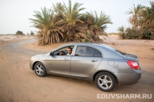 egypt_sharm_nabq-36